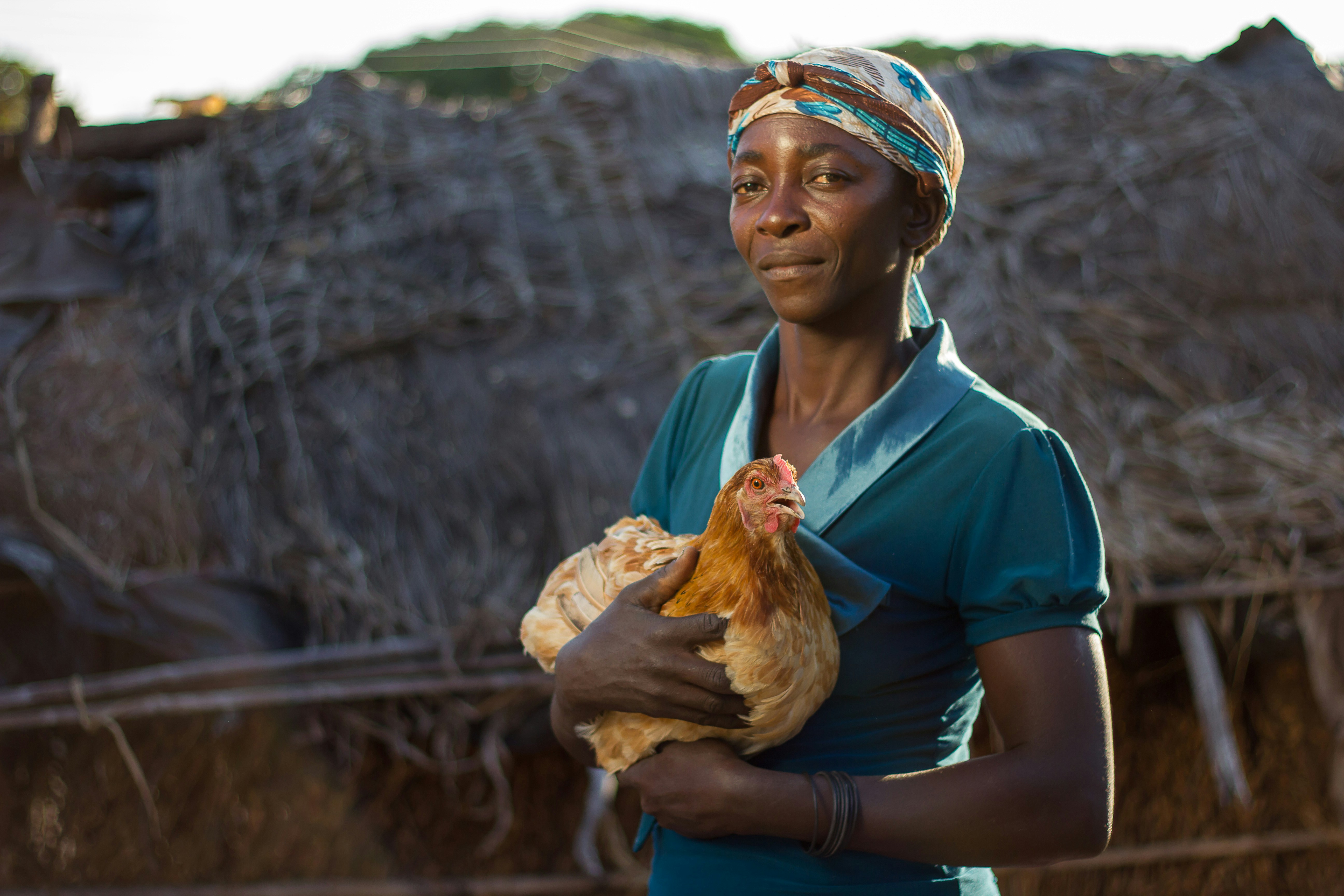 Young farmer in a poultry facility